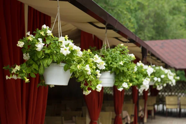 ????? ? ??????? ?? ?????? ????????