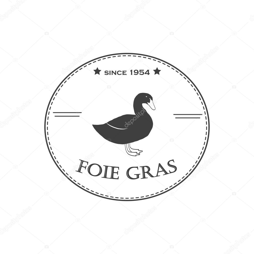 Illustration with duck