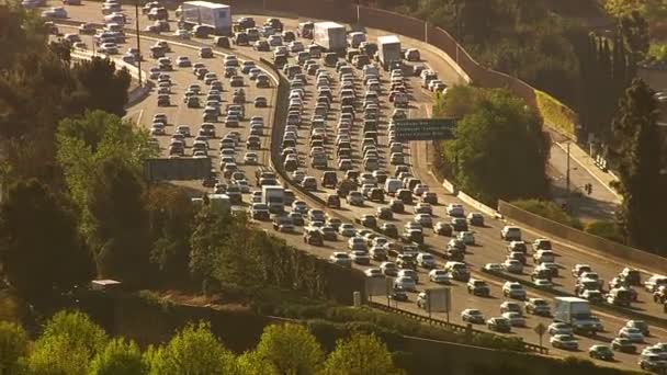 忙しい高速道路上のトラフィック — ストック動画