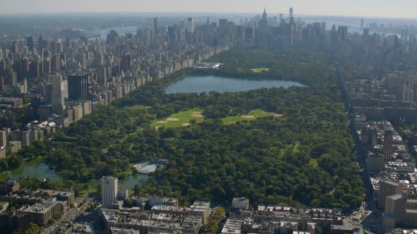 Shot of Central Park — Stock Video