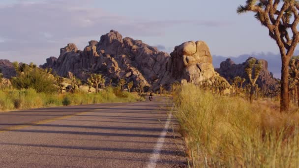 Motorcycle on highway — Stock Video