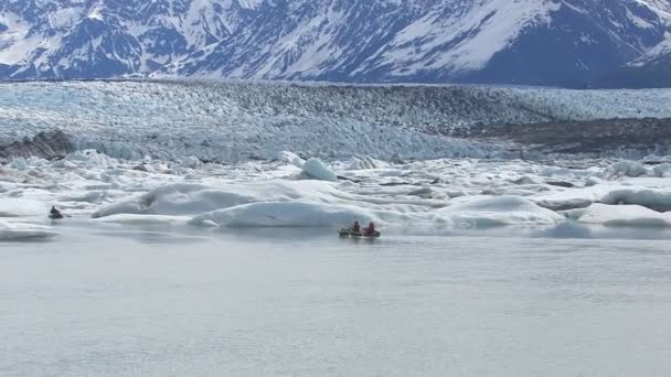 Kayak por icebergs y glaciar — Vídeo de stock