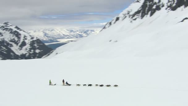 Hondensleetochten op Alaskan gletsjer — Stockvideo