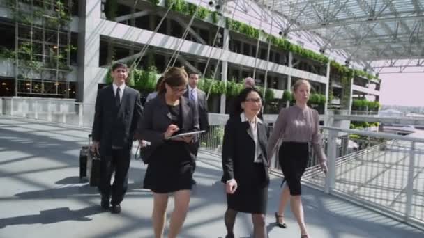 Businesspeople walking in airport — Stock Video