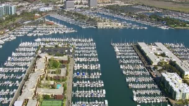 Sail boats docked in harbor — Stock Video