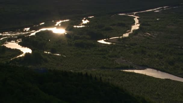 Akarsu Alaska wilderness içinde — Stok video