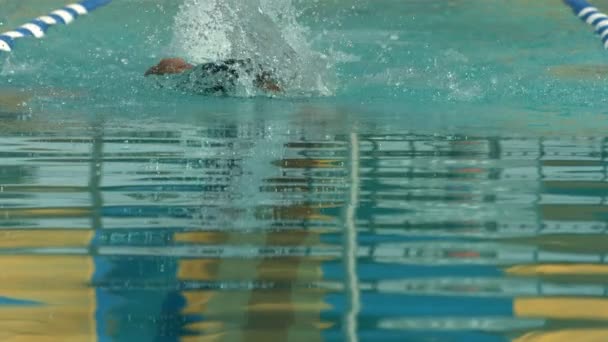 Swimmer doing freestyle stroke — Stock Video