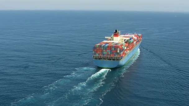 Container ship in ocean — Stock Video