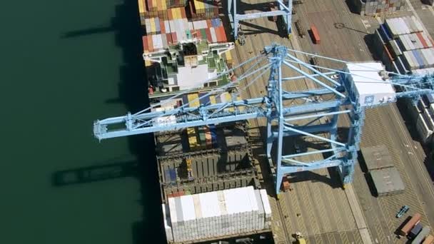 Long Beach shipping docks — Stock Video