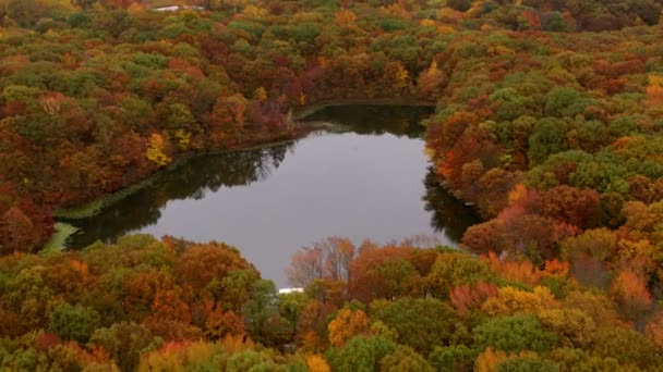 Central Park à NY — Video