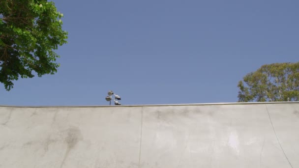 Young man skateboarding — Stock Video