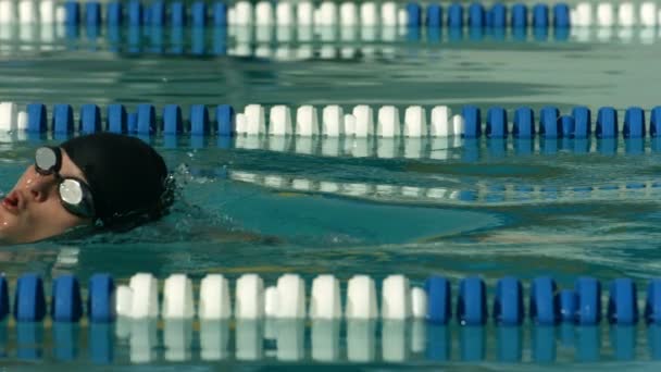 Swimmer doing freestyle stroke — Stock Video