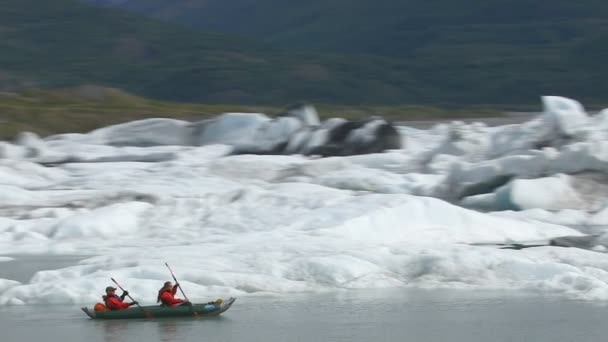 Kajakken door ijsbergen en gletsjers — Stockvideo