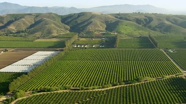 Shot of agricultural fields — Stock Video