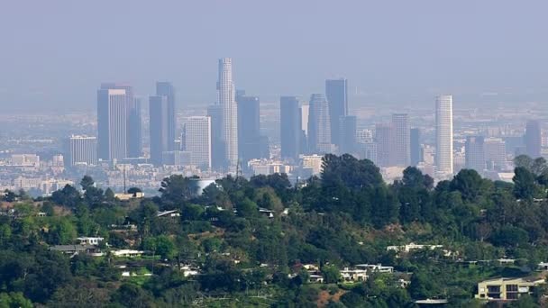 Los Angeles from Hollywood Hills — Stock Video