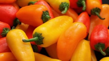 Taze biber yakın çekim