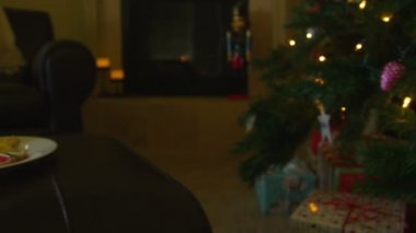 Noel Baba için kurabiye ve süt.