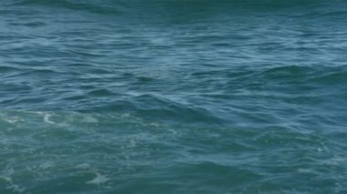 Okyanusta kürek çekmeye sörfçü