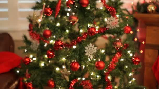Рождественская елка и подарок — стоковое видео