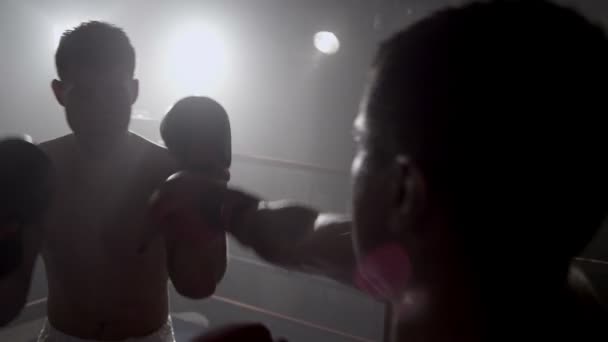 Boxeadores perforando en el ring de boxeo — Vídeos de Stock