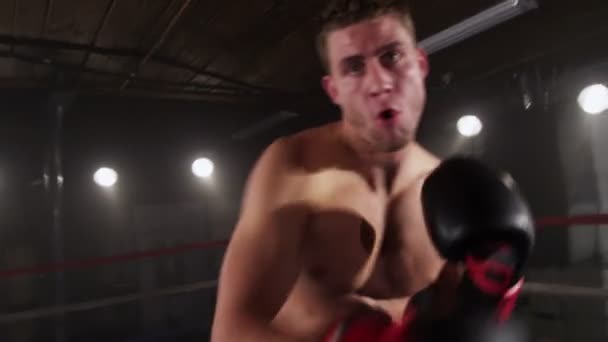 Boxer punzonatura sul ring — Video Stock