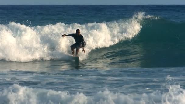 Surfer rides wave — Stock Video