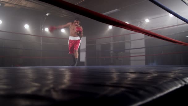 Entrenamiento de boxeador en ring — Vídeos de Stock