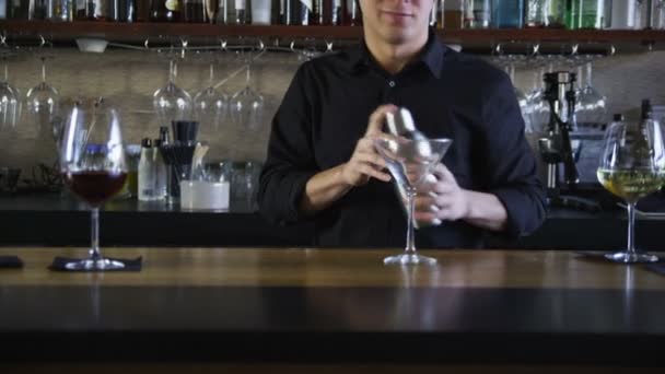 Bartender making a martini — Stock Video