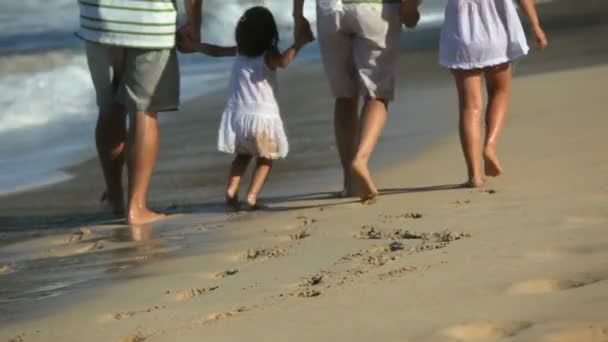 Family walking along beach — Stock Video