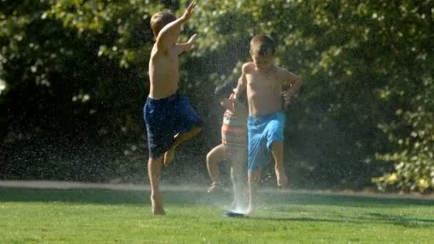 Kinderen spelen in de sprinkler — Stockvideo