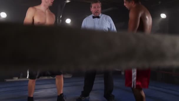Διαιτητής ξεκινάει αγώνα πυγμαχίας — Αρχείο Βίντεο