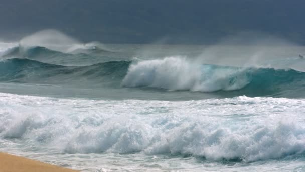 Волны на Гавайях — стоковое видео