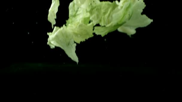 Lechuga cayendo y salpicando — Vídeo de stock