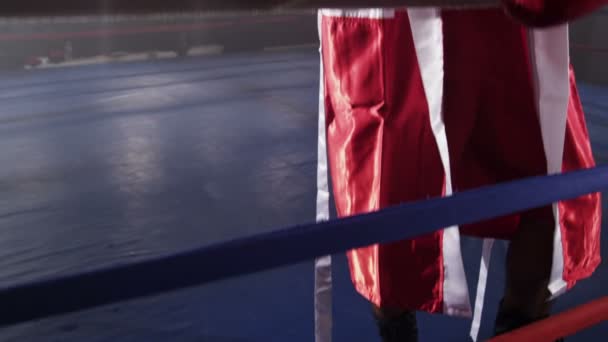 Portrait of boxer in ring — Stock Video