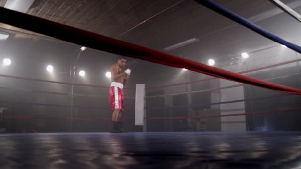 Boxer training in ring — Stock Video