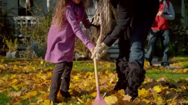 Familjen rengöring blad med krattor — Stockvideo