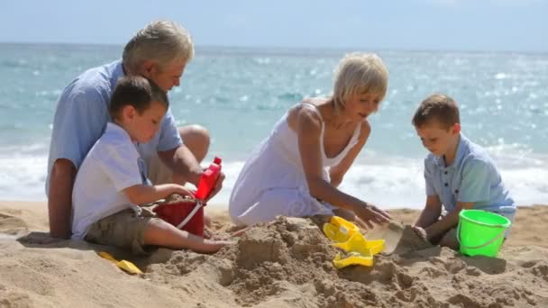 Grandparents play with grandchildren — Stock Video