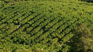Tarım ve meyve bahçeleri