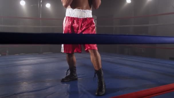 Boxeador listo para luchar — Vídeo de stock