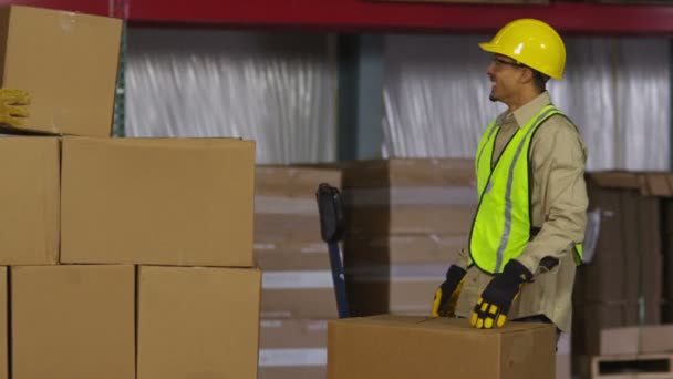 Trabajadores de la industria apilan cajas — Vídeos de Stock