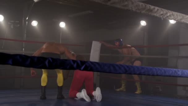 Tag team wrestling — Stock Video