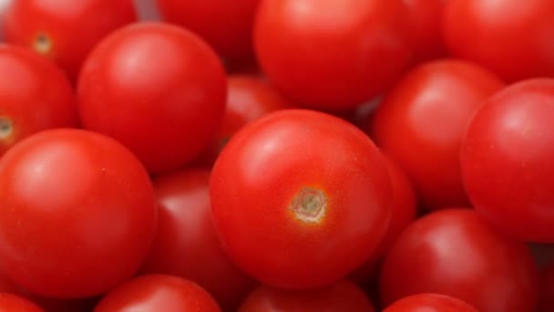 Tomates cereja frescos — Vídeo de Stock