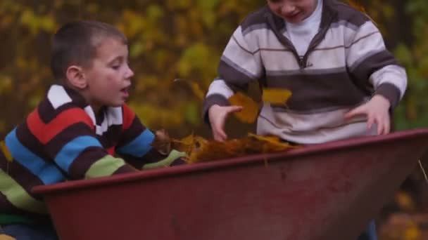 Young boys throwing fall leaves — Stock Video