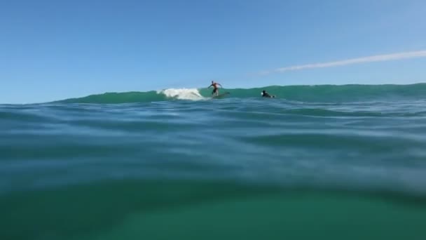Surfer rides wave — Stock Video