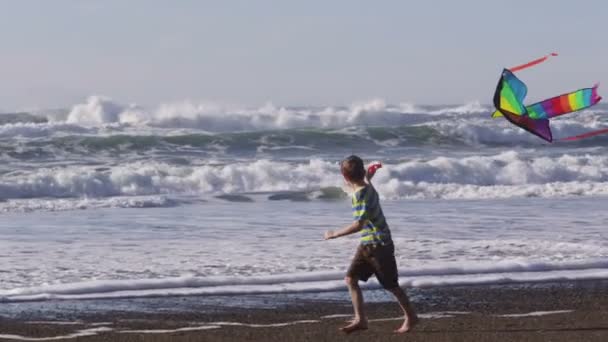 Garçon courir à la plage avec cerf-volant — Video