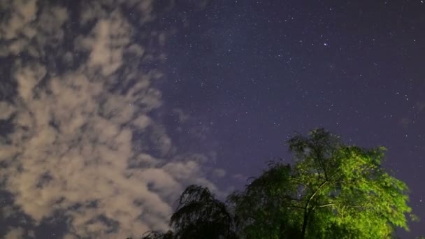 Estrellas y nubes moviéndose sobre el árbol — Vídeo de stock