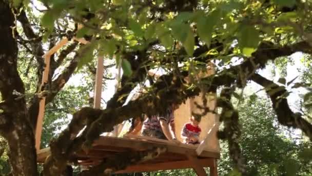 Bâtiment familial maison arbre — Video