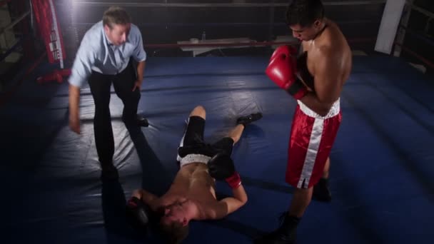 Boxer slår ut motståndare — Stockvideo