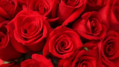 kırmızı gül gülümsemek