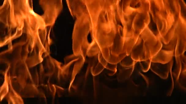 Φλόγες καύση σε κοντινό πλάνο — Αρχείο Βίντεο